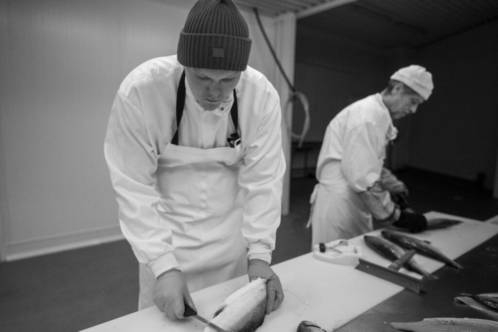 kalatuotanto kalamakasiini