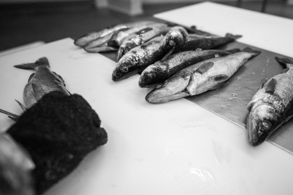 kalamakasiini karuselli 3