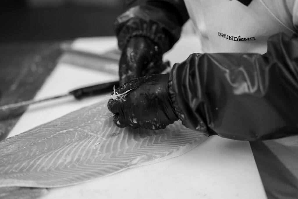 kalamakasiini karuselli